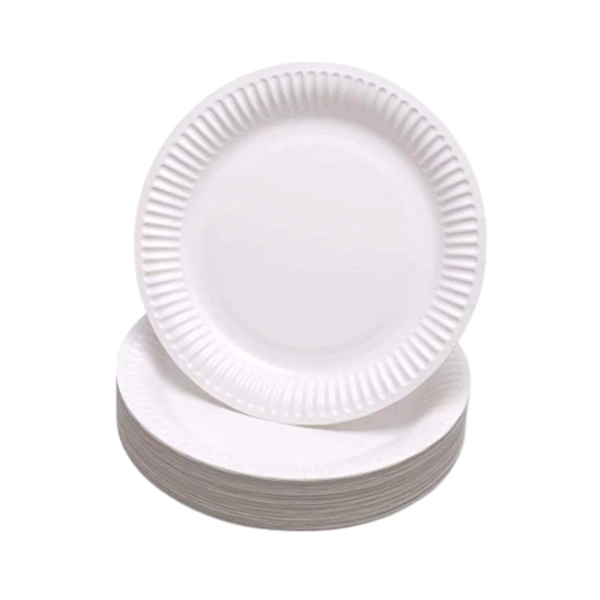 9in Paper Plates 10x100